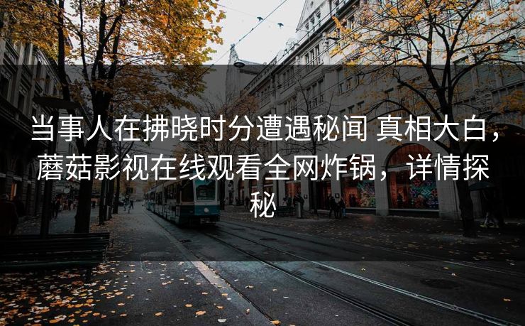 当事人在拂晓时分遭遇秘闻 真相大白，蘑菇影视在线观看全网炸锅，详情探秘