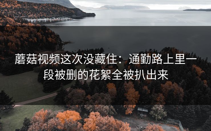 蘑菇视频这次没藏住：通勤路上里一段被删的花絮全被扒出来