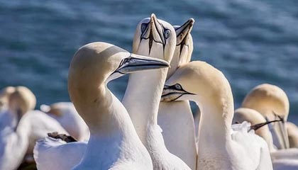 探索无限漫画世界：虫虫漫画登录页面免费漫画看漫画