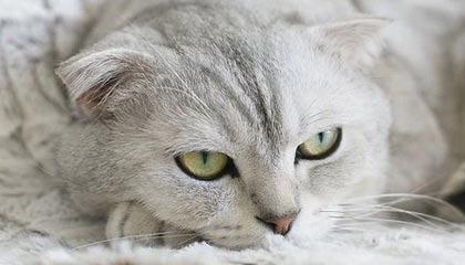 网红在今日凌晨遭遇猛料引发众怒，17c全网炸锅，详情发现